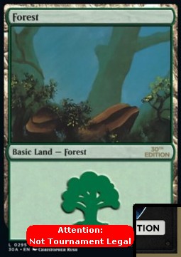 Forest (V.1)