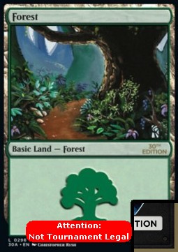 Forest (V.2)