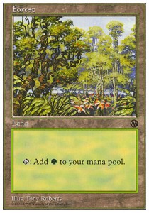 Forest (V.2)