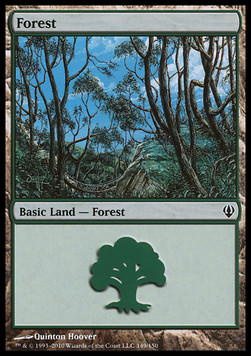 Forest (V.2)
