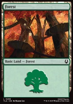 Forest (V.1)