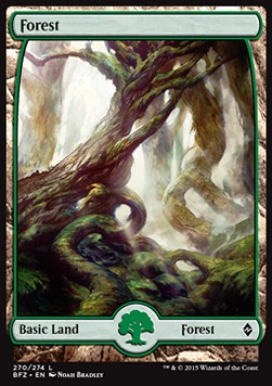 Forest (V.1)
