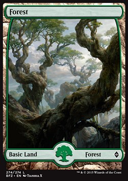 Forest (V.9)