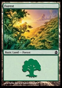 Forest (V.3)