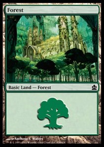 Forest (V.4)