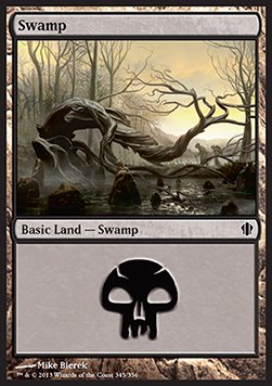 Swamp (V.1)