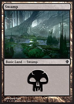 Swamp (V.3)