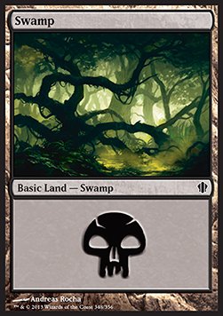 Swamp (V.4)