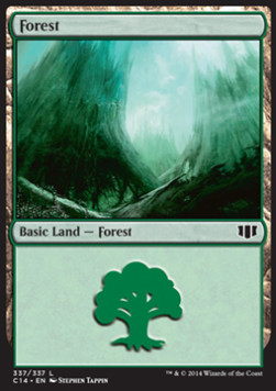Forest (V.4)