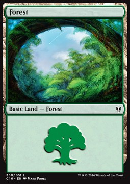 Forest (V.2)