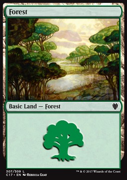 Forest (V.1)