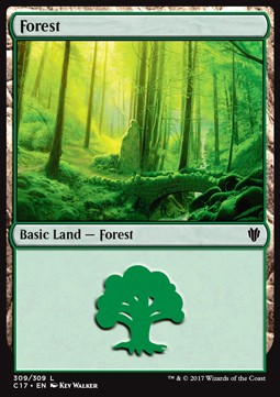 Forest (V.3)
