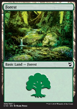 Forest (V.2)