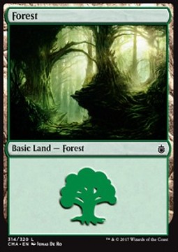 Forest (V.6)