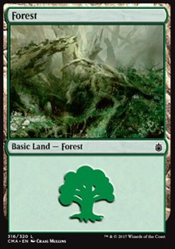 Forest (V.8)