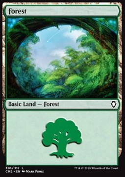 Forest (V.5)