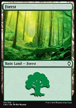 Forest (V.6)