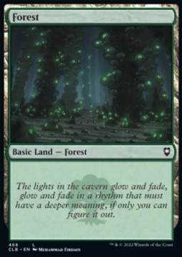 Forest (V.2)
