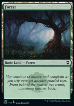 Forest (V.3)