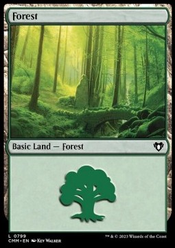 Forest (V.6)