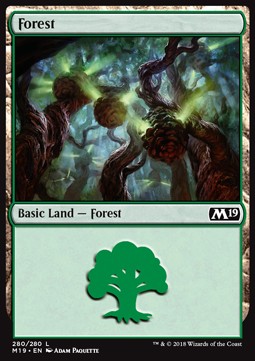 Forest (V.4)