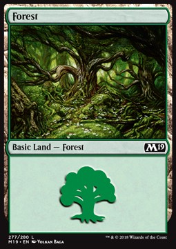 Forest (V.1)