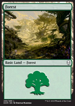 Forest (V.3)