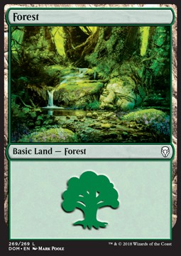 Forest (V.4)