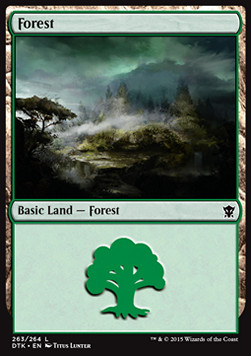 Forest (V.2)