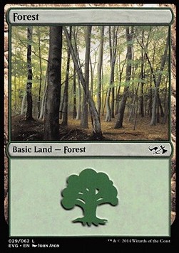 Forest (V.7)