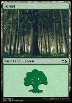 Forest (V.8)