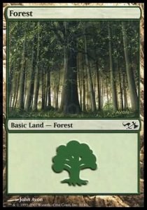 Forest (V.3)