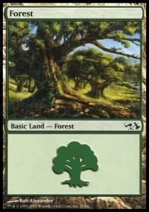 Forest (V.4)