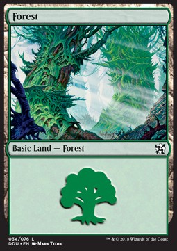 Forest (V.4)
