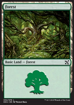 Forest (V.2)