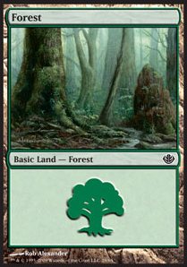 Forest (V.1)