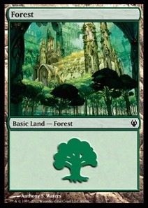 Forest (V.3)