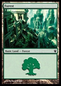 Forest (V.4)