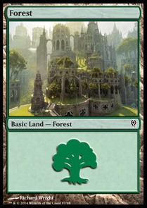 Forest (V.4)