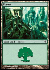 Forest (V.5)