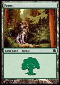 Forest (V.1)