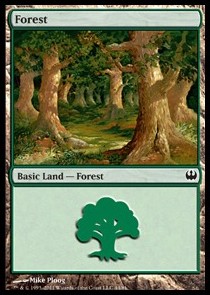 Forest (V.2)