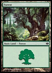 Forest (V.4)