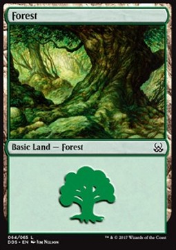 Forest (V.2)