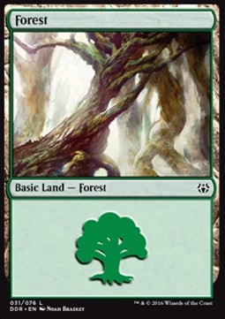 Forest (V.1)