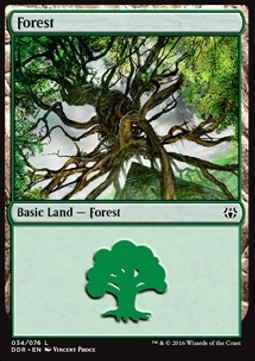 Forest (V.4)