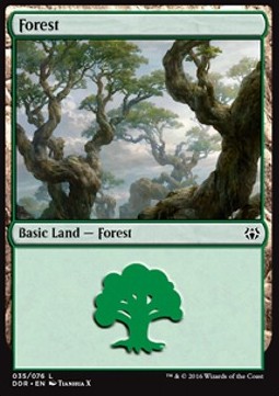 Forest (V.5)