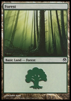 Forest (V.1)