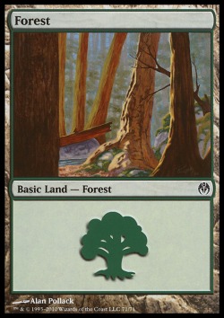 Forest (V.2)