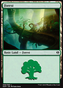 Forest (V.1)